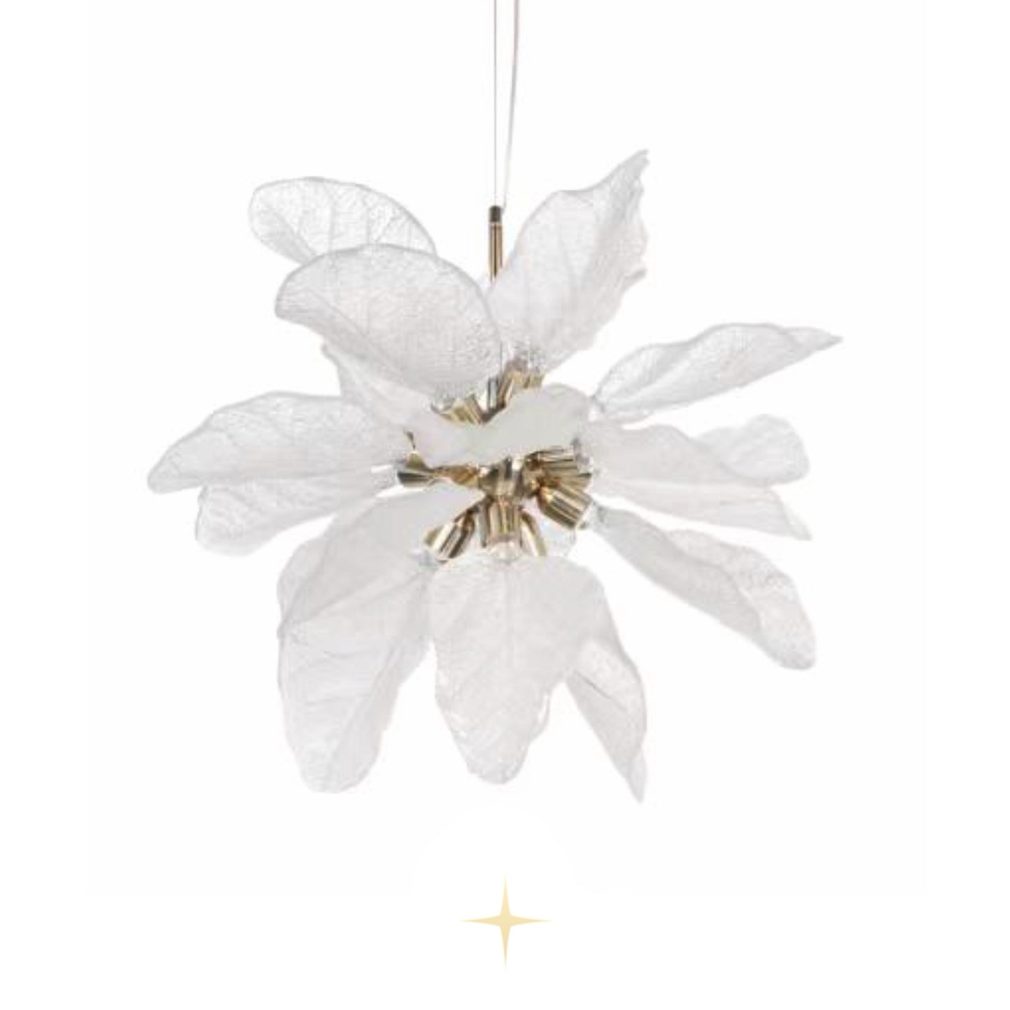 Elegant Pristine