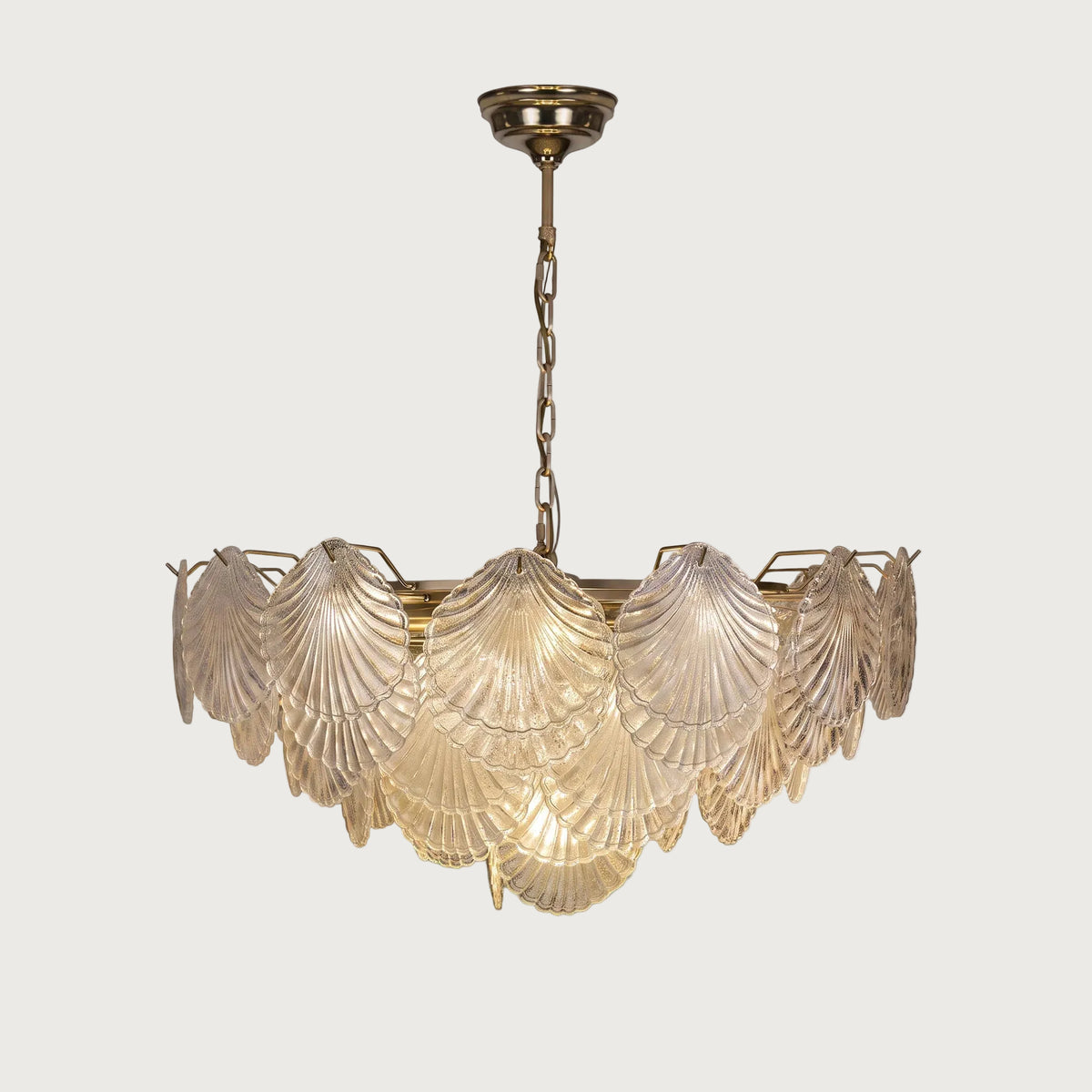 Shellina seashell-shaped textured glass chandelier with gold stem on light grey background