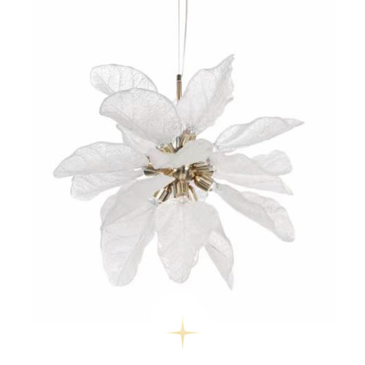 Elegant Pristine