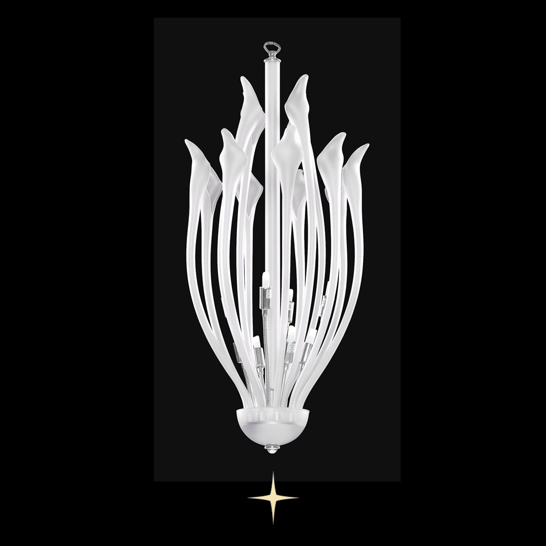 Flora