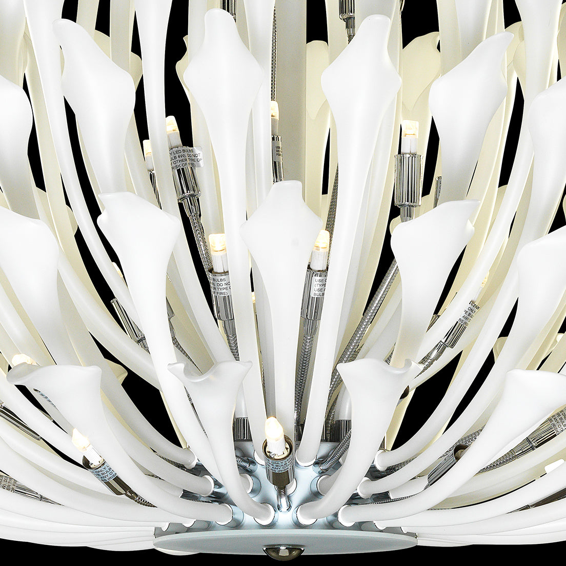 Lavish Flora