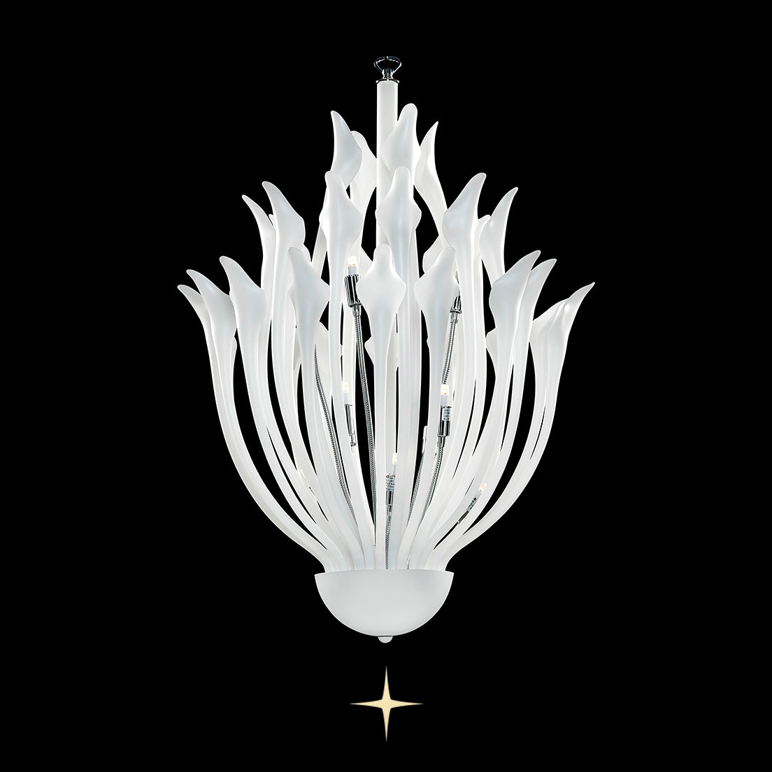 Elegant Flora