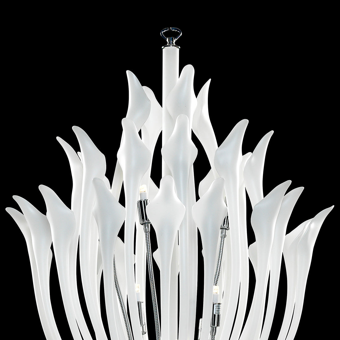 Elegant Flora