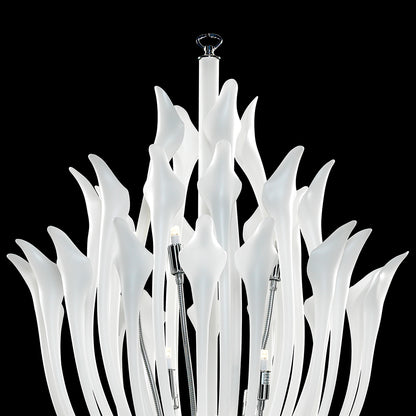 Elegant Flora