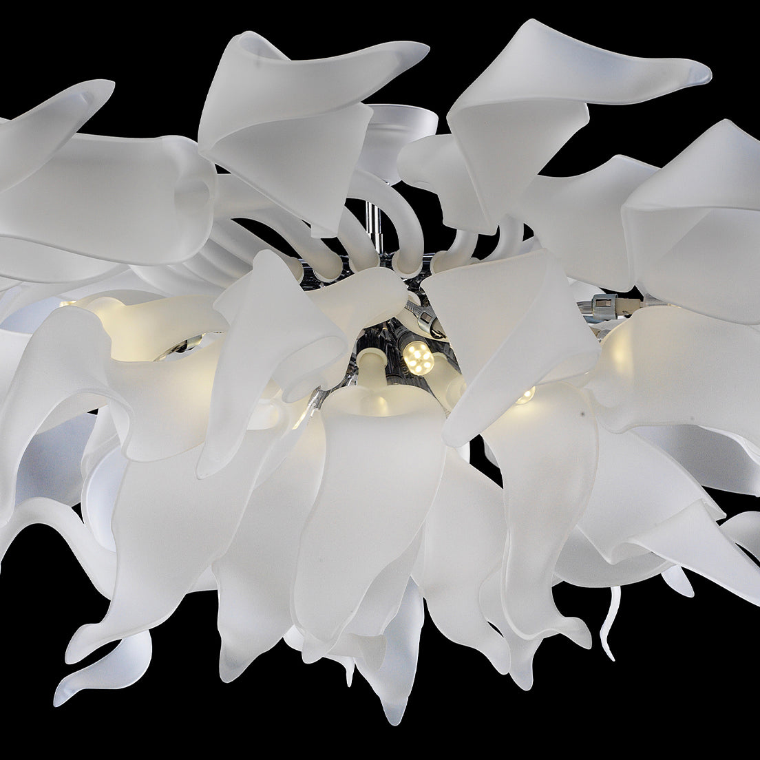 Lavish Pearl